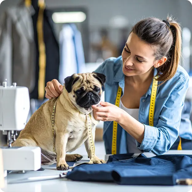 Roupas de pet